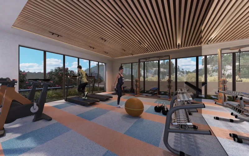 weaverbird client work