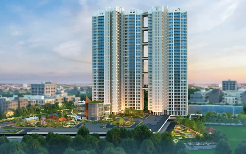 weaverbird client work